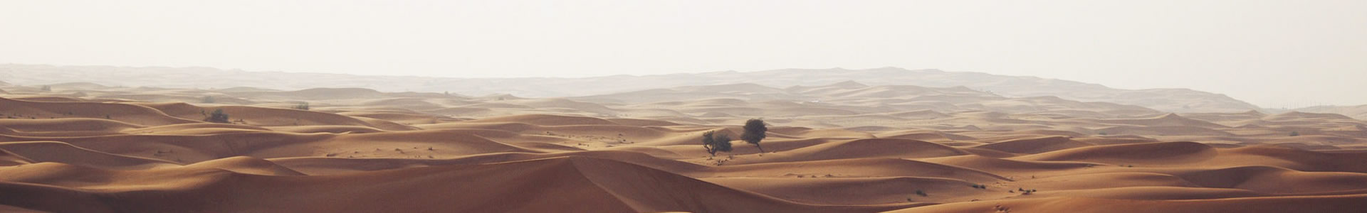 Ϸʷó޹˾